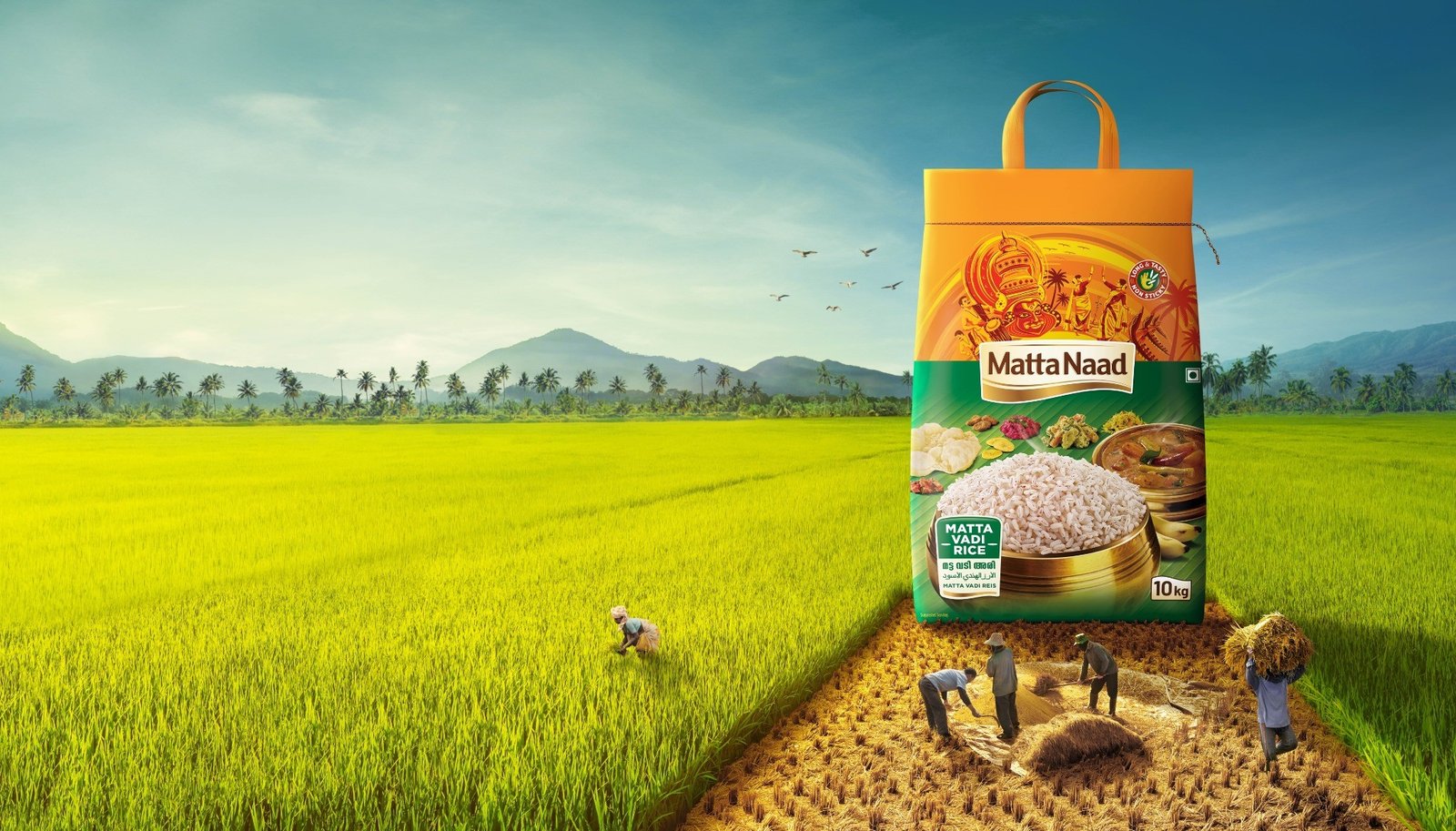 Matta Vadi Rice