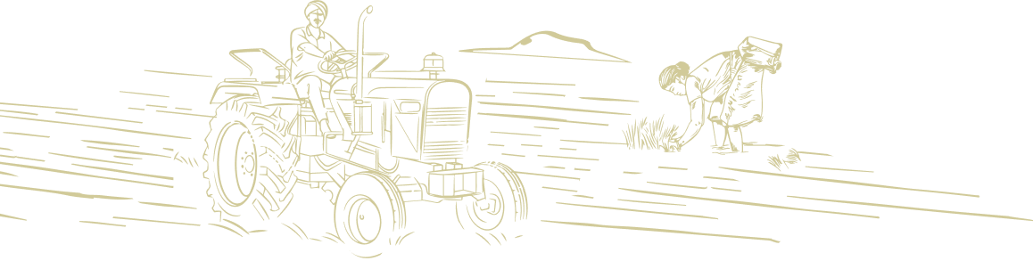 cart